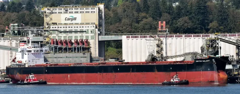 MSXT BELLONA Bulk Carrier IMO 9602394 photo 3