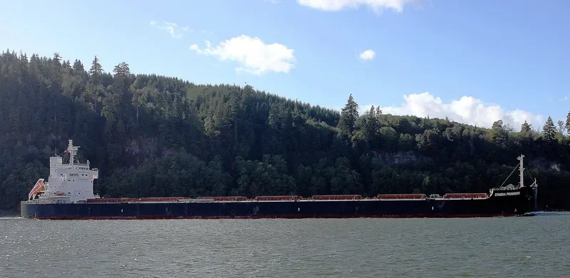 CYMONA PROGRESS Bulk Carrier IMO 9602435 photo 3