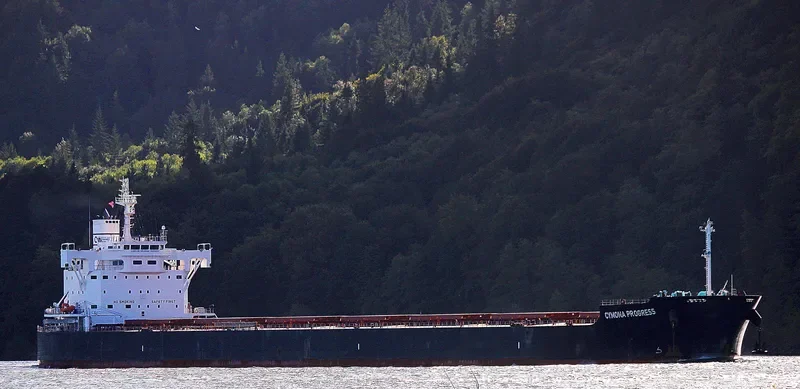 CYMONA PROGRESS Bulk Carrier IMO 9602435 photo 4