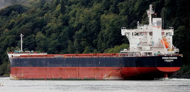 CYMONA PROGRESS Bulk Carrier IMO 9602435 photo 5
