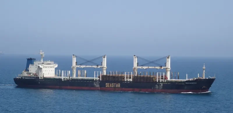 VEGA EVEREST Bulk Carrier IMO 9602693