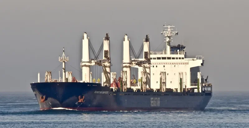 VEGA EVEREST Bulk Carrier IMO 9602693 photo 3