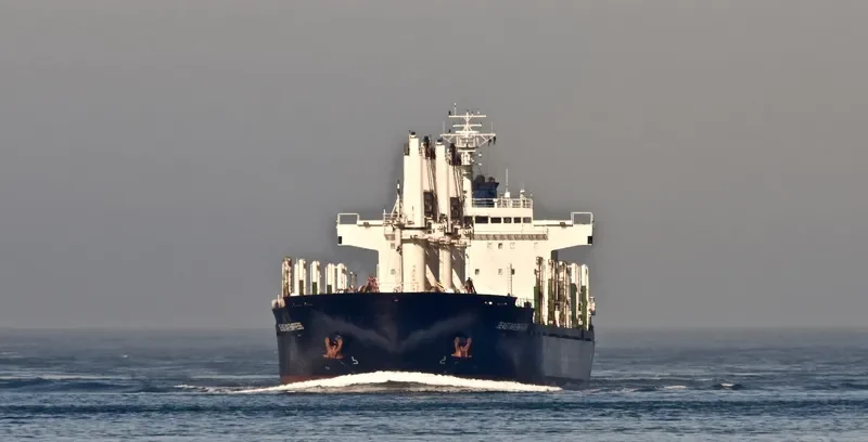 VEGA EVEREST Bulk Carrier IMO 9602693 photo 4