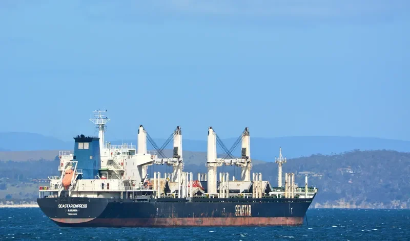 VEGA EVEREST Bulk Carrier IMO 9602693 photo 7