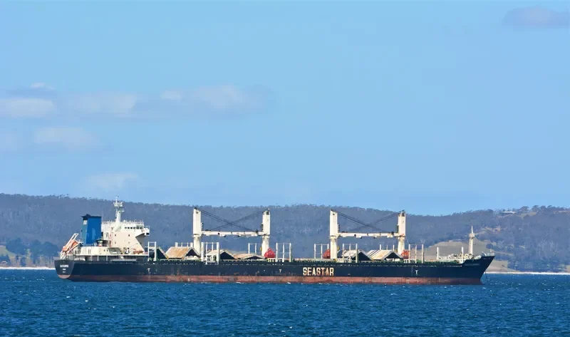 VEGA EVEREST Bulk Carrier IMO 9602693 photo 8