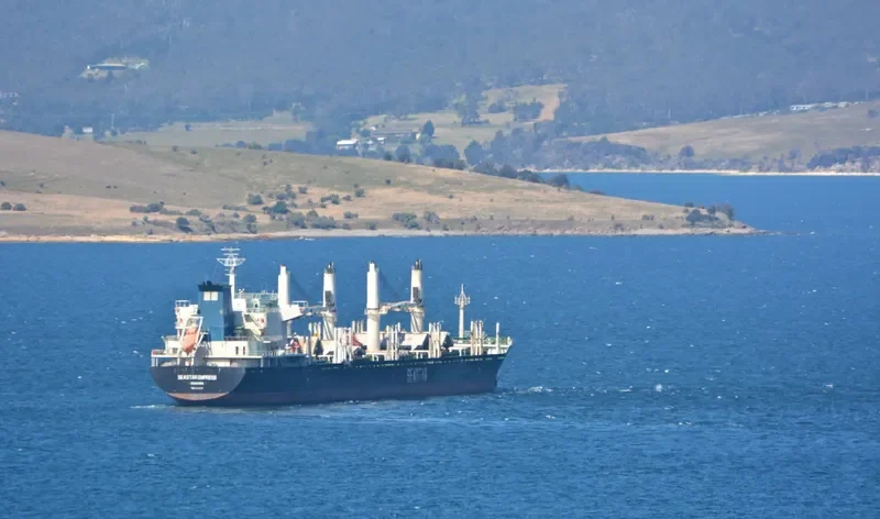 VEGA EVEREST Bulk Carrier IMO 9602693 photo 9