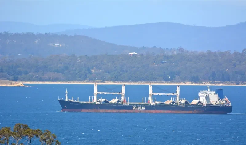 VEGA EVEREST Bulk Carrier IMO 9602693 photo 10
