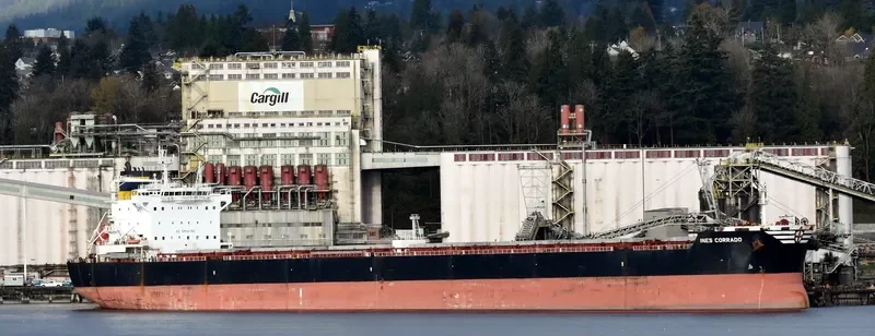 INES CORRADO Bulk Carrier IMO 9602772 photo 6