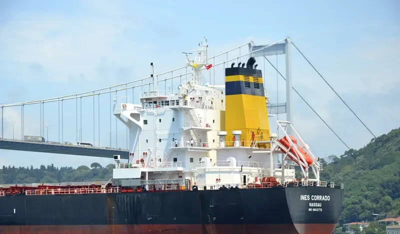 INES CORRADO Bulk Carrier IMO 9602772 photo 9