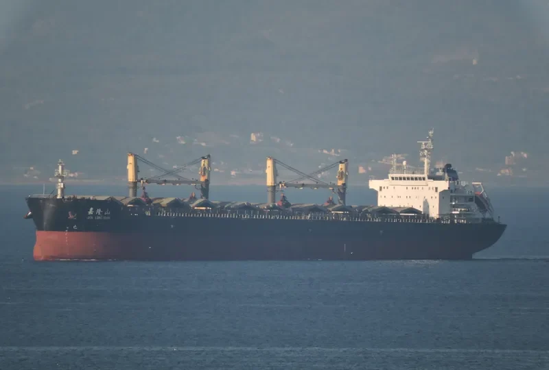 JIA LONG SHAN Bulk Carrier IMO 9602978 photo 7