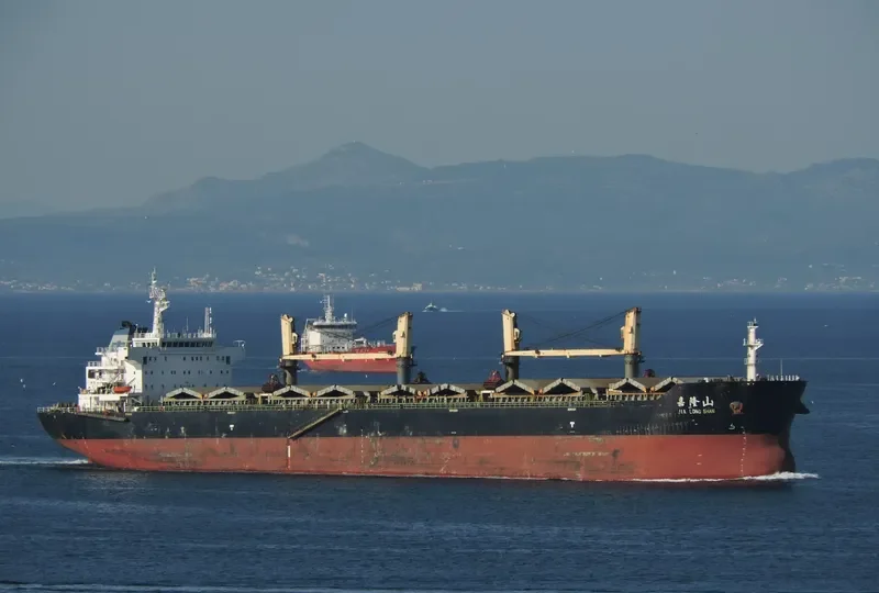 JIA LONG SHAN Bulk Carrier IMO 9602978 photo 9