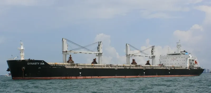 ZHONG CHANG JIN SHENG Bulk Carrier IMO 9603075