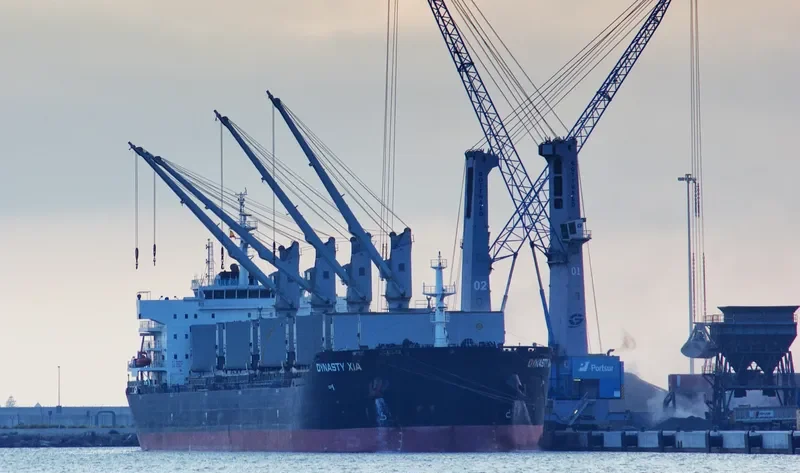 ZHONG CHANG JIN SHENG Bulk Carrier IMO 9603075 photo 4