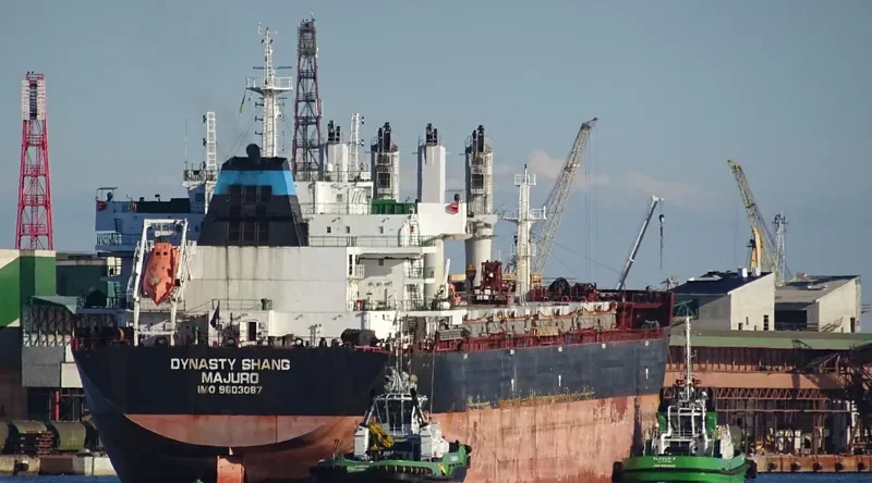 ZHONG CHANG XIN SHENG Bulk Carrier IMO 9603087 photo 3