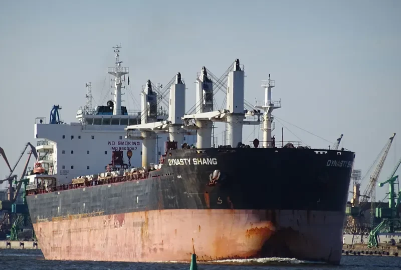 ZHONG CHANG XIN SHENG Bulk Carrier IMO 9603087 photo 5