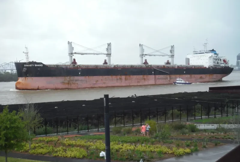 ZHONG CHANG XIN SHENG Bulk Carrier IMO 9603087 photo 6