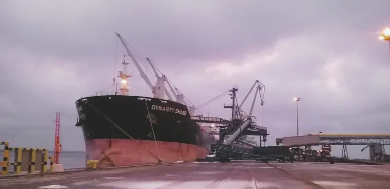 ZHONG CHANG XIN SHENG Bulk Carrier IMO 9603087 photo 8