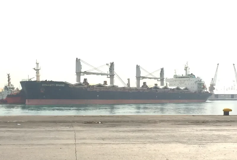 ZHONG CHANG XIN SHENG Bulk Carrier IMO 9603087 photo 9