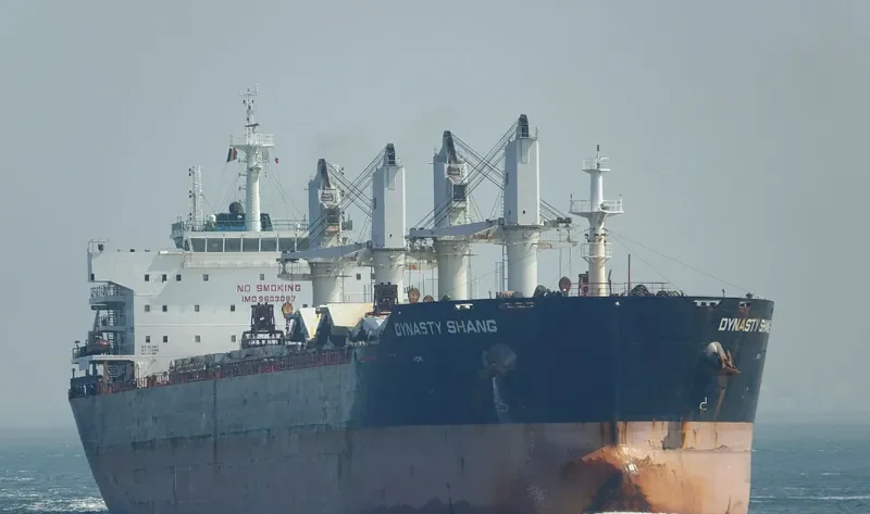 ZHONG CHANG XIN SHENG Bulk Carrier IMO 9603087 photo 10