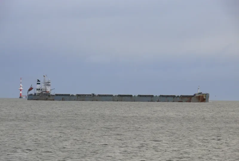 SEA NEPTUNE Bulk Carrier IMO 9603142