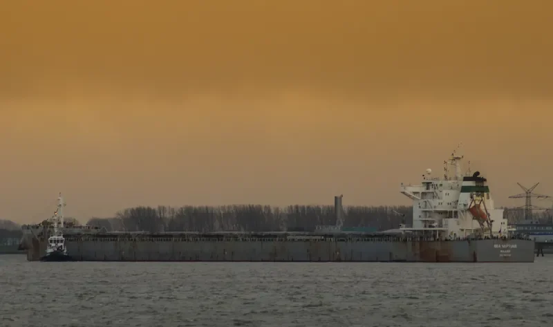 SEA NEPTUNE Bulk Carrier IMO 9603142 photo 3