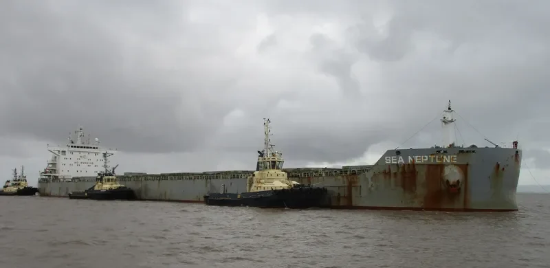 SEA NEPTUNE Bulk Carrier IMO 9603142 photo 10