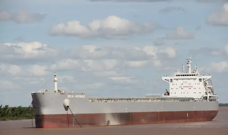 SEA HERMES Bulk Carrier IMO 9603154 photo 3