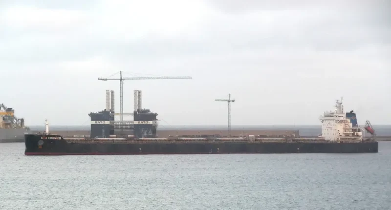 SEA HERMES Bulk Carrier IMO 9603154 photo 4