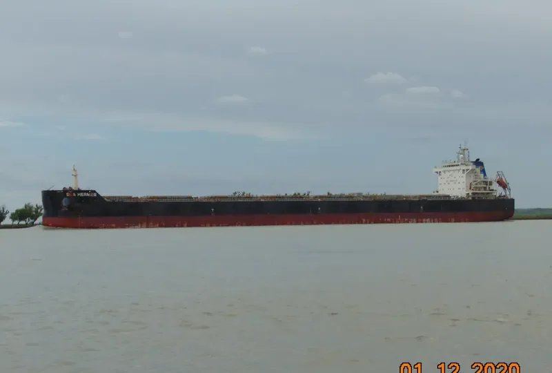SEA HERMES Bulk Carrier IMO 9603154 photo 6