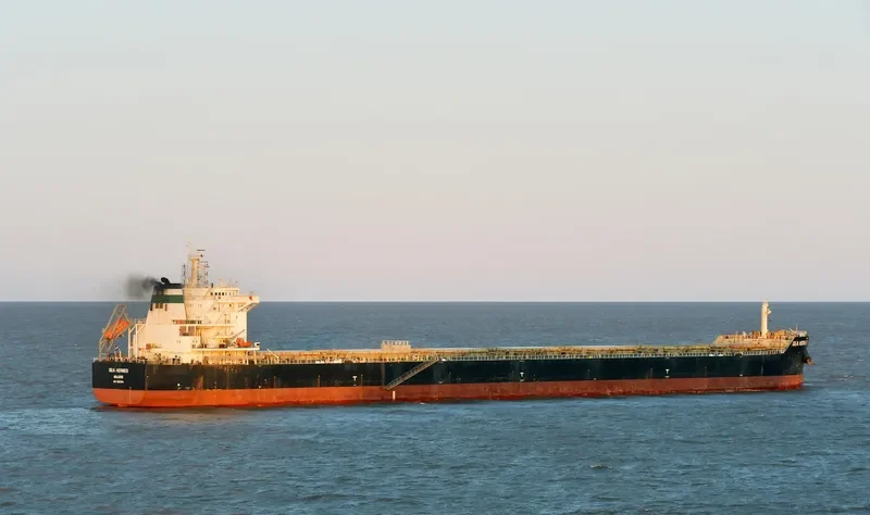 SEA HERMES Bulk Carrier IMO 9603154 photo 8
