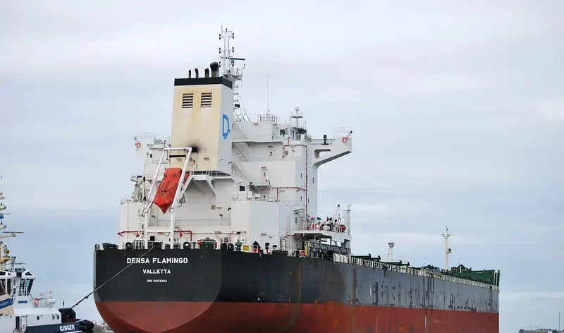 DENSA FLAMINGO Bulk Carrier IMO 9603283 photo 4