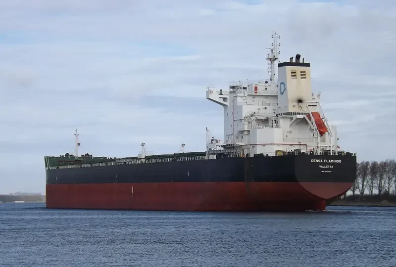 DENSA FLAMINGO Bulk Carrier IMO 9603283 photo 9