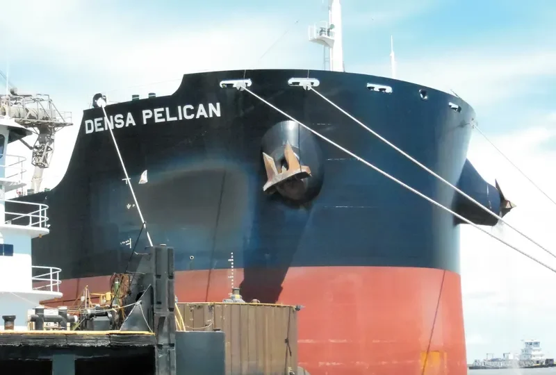 DENSA PELICAN Bulk Carrier IMO 9603300 photo 6