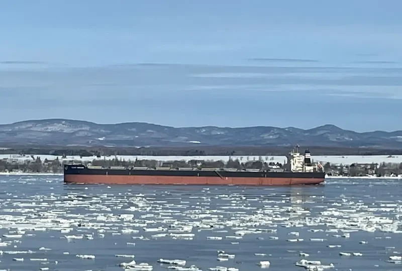 CLEAR HORIZON Bulk Carrier IMO 9603427 photo 4