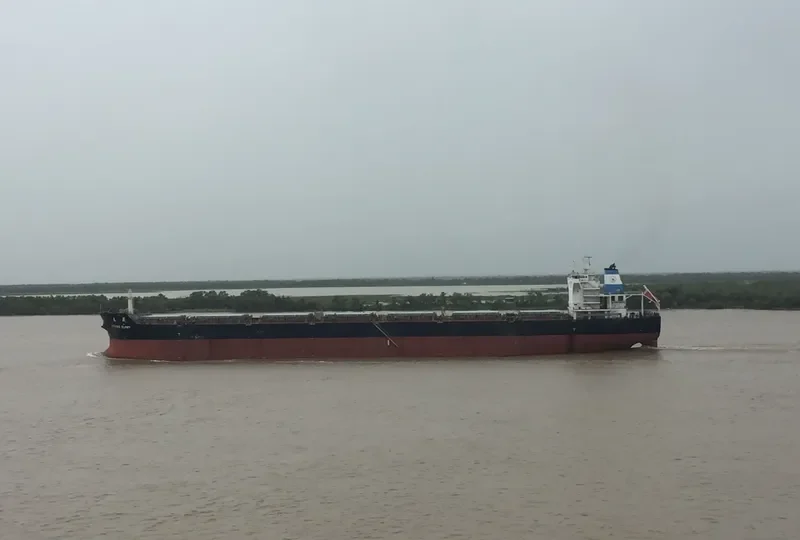 SPRING GLORY Bulk Carrier IMO 9603491
