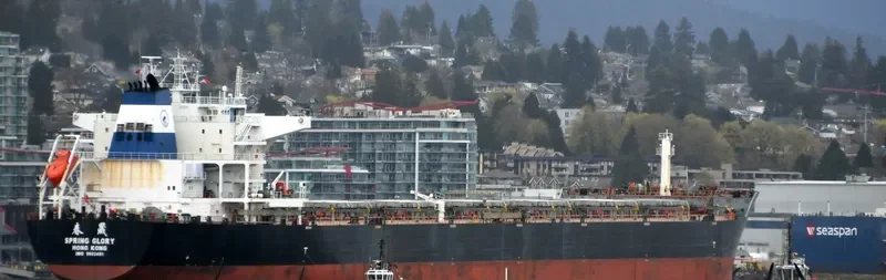 SPRING GLORY Bulk Carrier IMO 9603491 photo 9