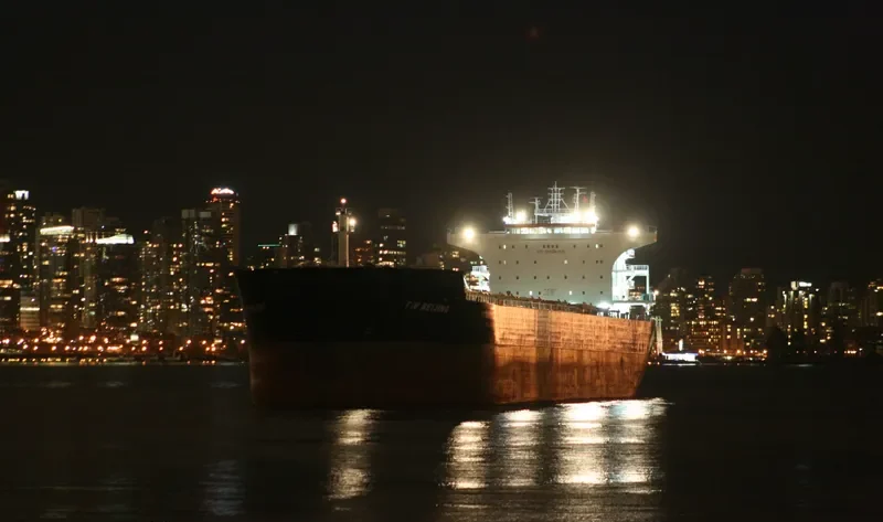 TW BEIJING Bulk Carrier IMO 9603506 photo 5