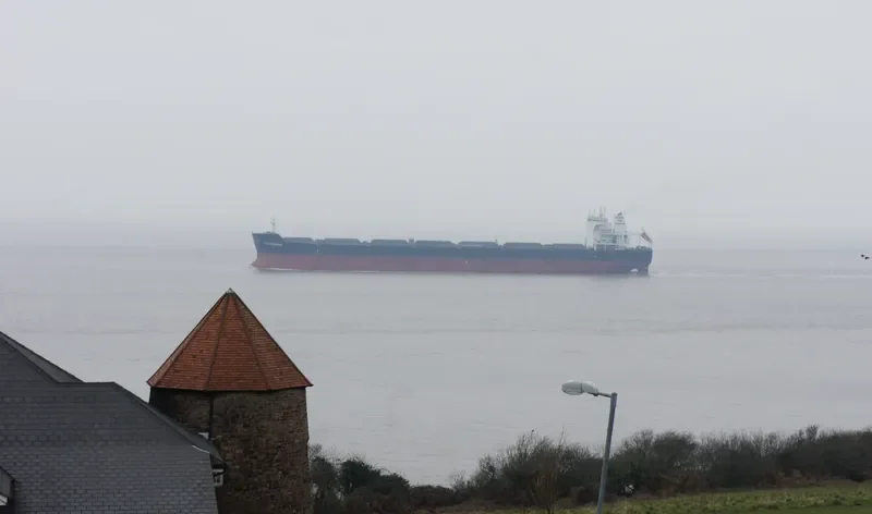 TW HAMBURG Bulk Carrier IMO 9603520 photo 8