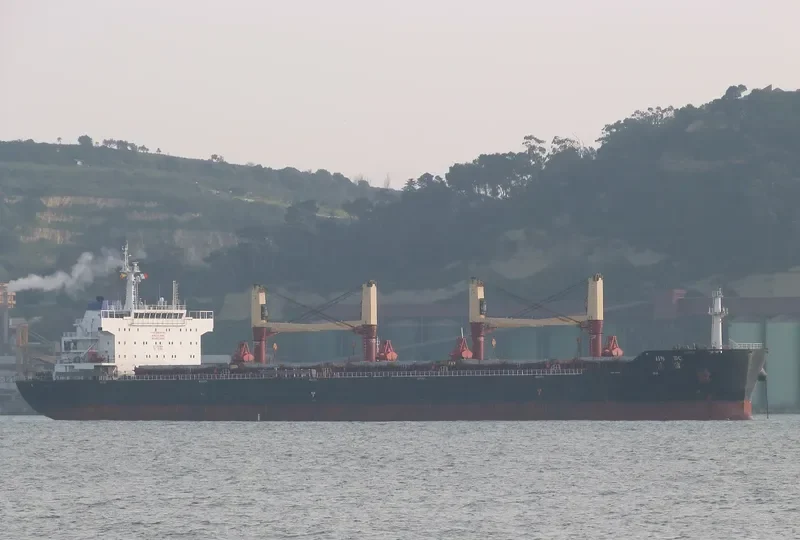 JIN BO Bulk Carrier IMO 9603685 photo 3