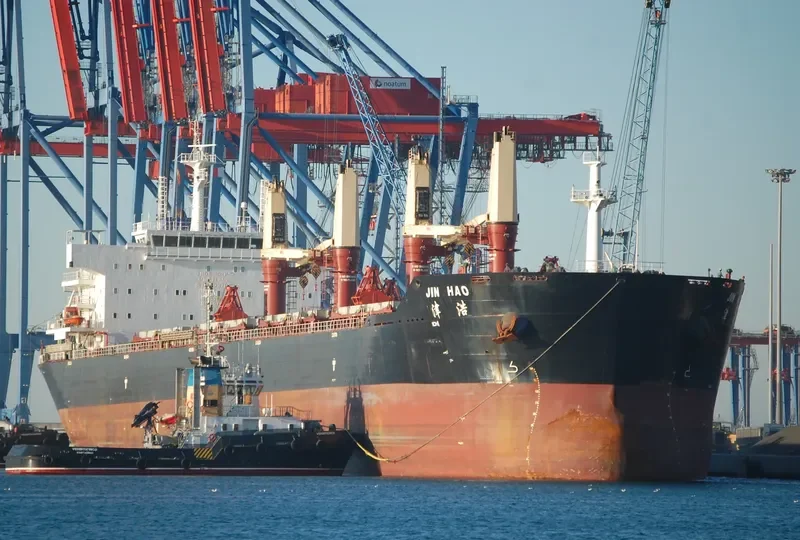 JIN HAO Bulk Carrier IMO 9603702 photo 6