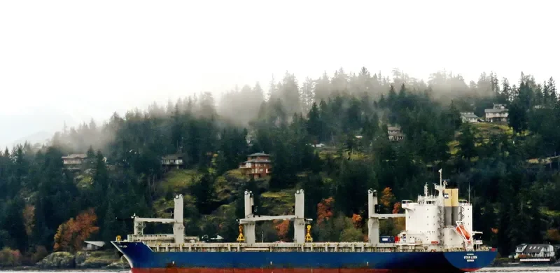 STAR LOEN General Cargo IMO 9603790