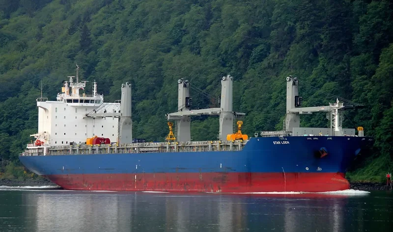 STAR LOEN General Cargo IMO 9603790 photo 9