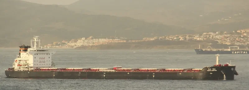 VISHVA CHETNA Bulk Carrier IMO 9603893