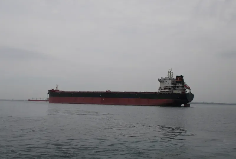 VISHVA CHETNA Bulk Carrier IMO 9603893 photo 5