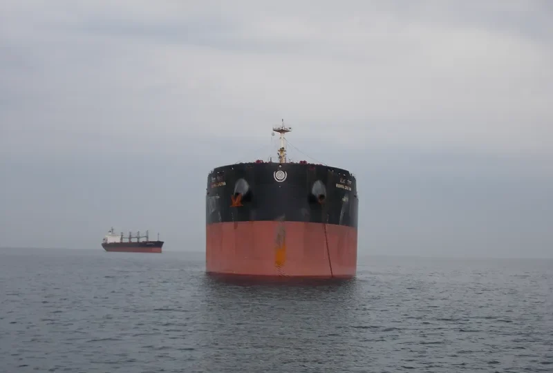 VISHVA CHETNA Bulk Carrier IMO 9603893 photo 6