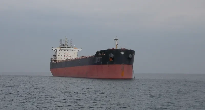 VISHVA CHETNA Bulk Carrier IMO 9603893 photo 7