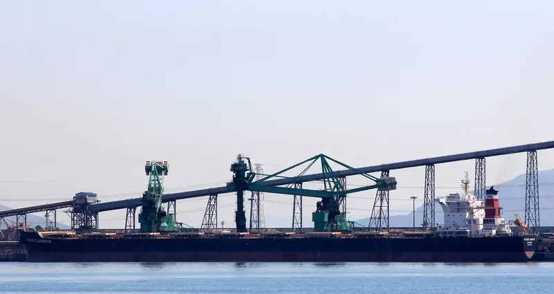 CAPE CYNTHIA Bulk Carrier IMO 9603908