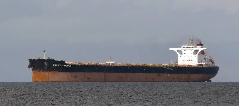 CAPE CYNTHIA Bulk Carrier IMO 9603908 photo 4
