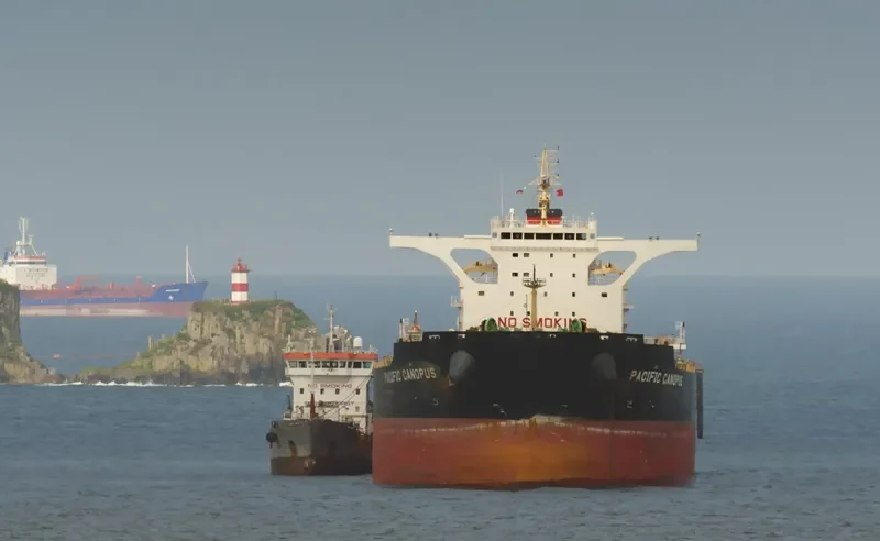 CAPE CYNTHIA Bulk Carrier IMO 9603908 photo 10