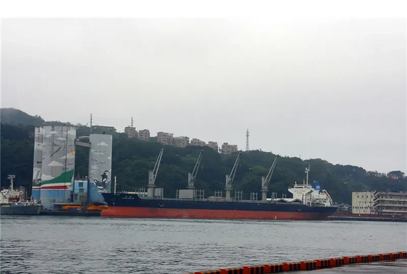 DANCEFLORA SW Bulk Carrier IMO 9603946